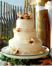seashell cake